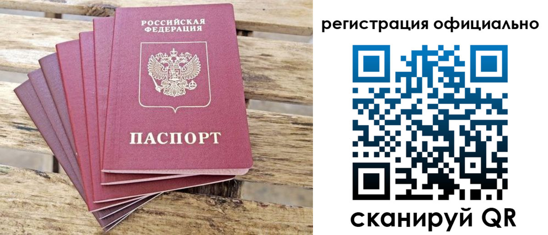 прописка в квартире в Московской области